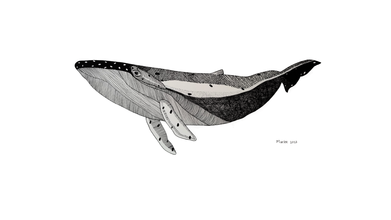 Picture for category Fineliner Drawings
