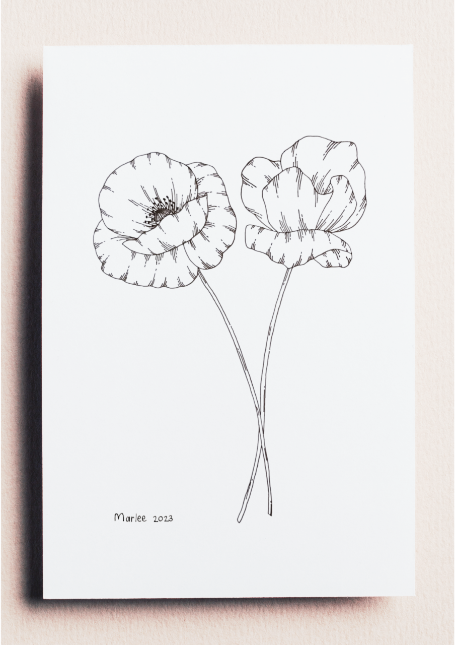 Picture of Poppies A4 - Fineliner Drawing