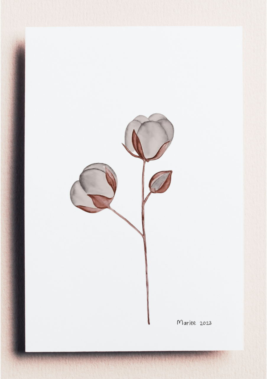 Picture of Cotton A4 - Watercolour Painting