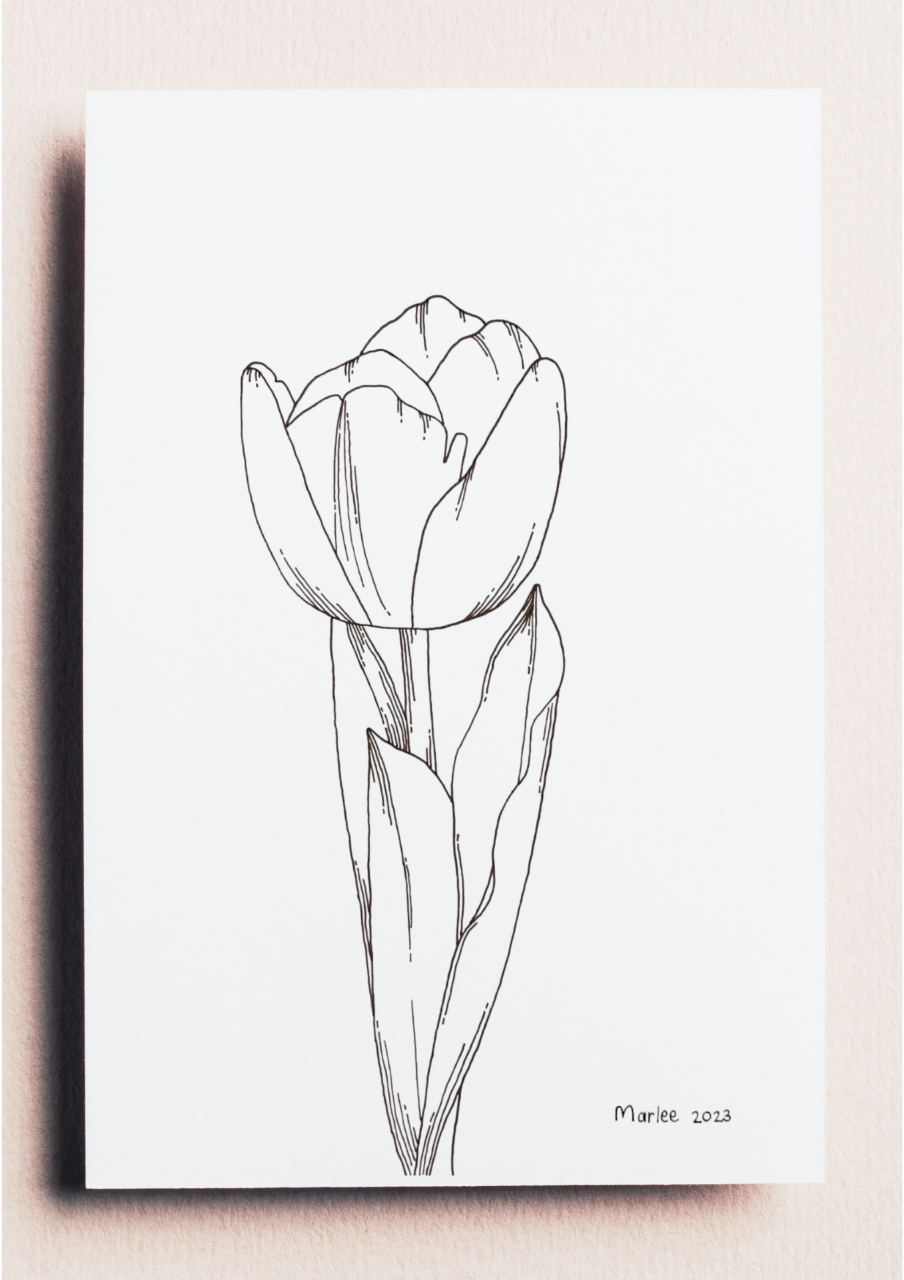 Picture of Tulip A4 - Fineliner Drawing