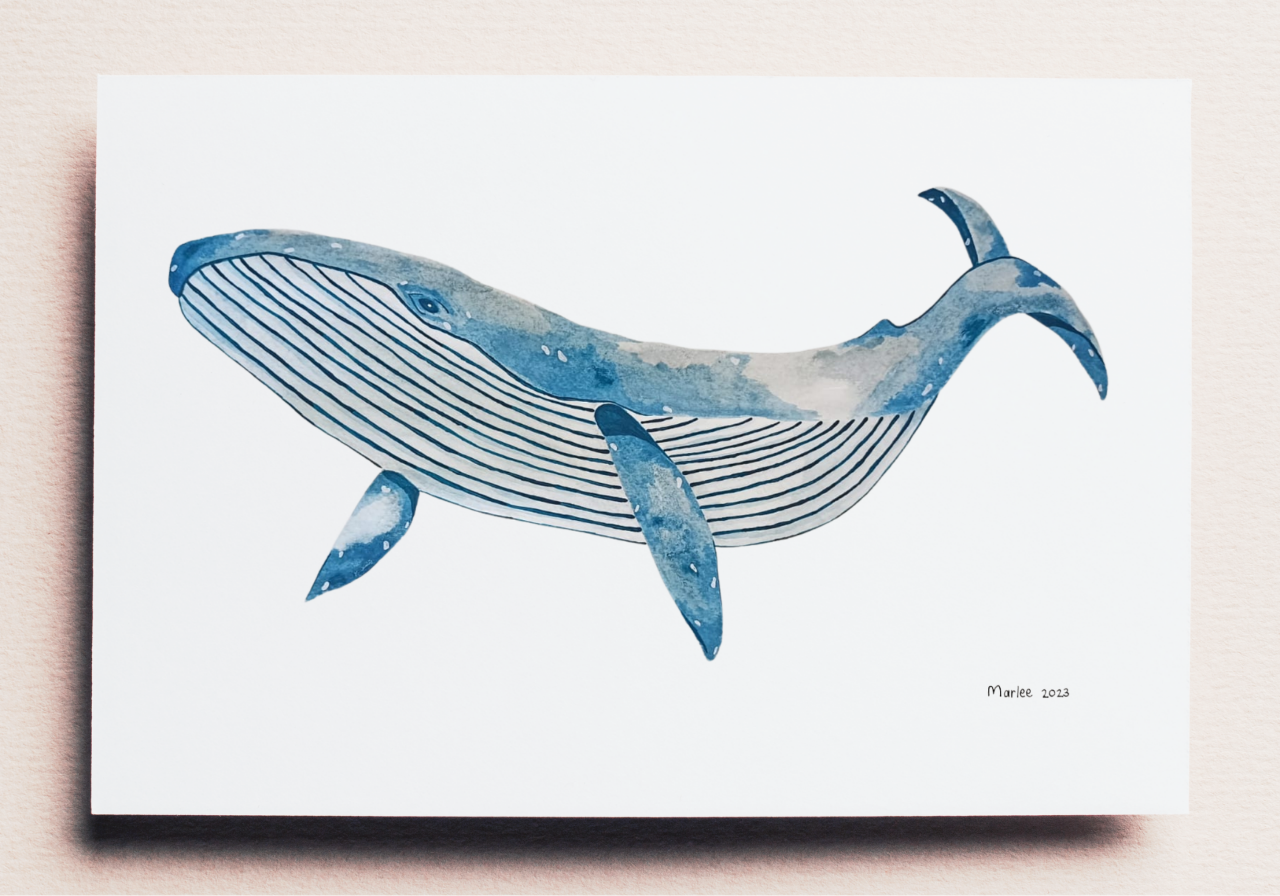 Picture of Whale A3 - Watercolour & Gouache Painting