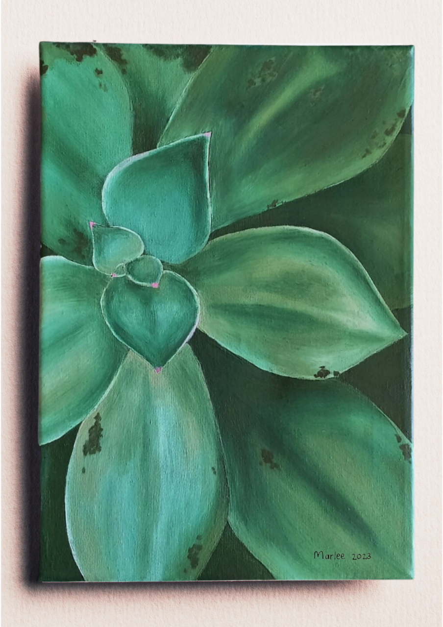 Picture of Sister Succulent A4 - Oil on Canvas
