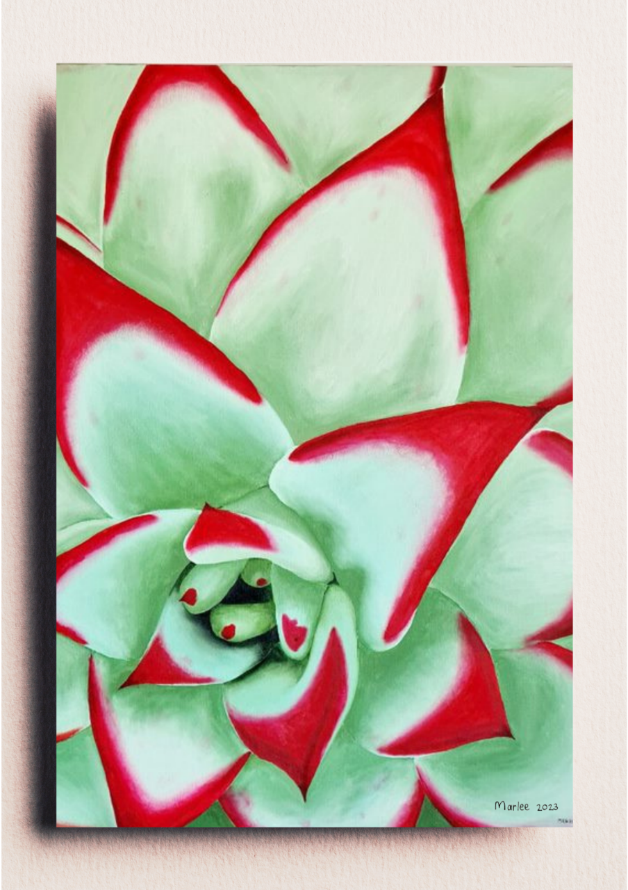 Picture of Striking Succulent A1 Equivalent - Oil on Canvas