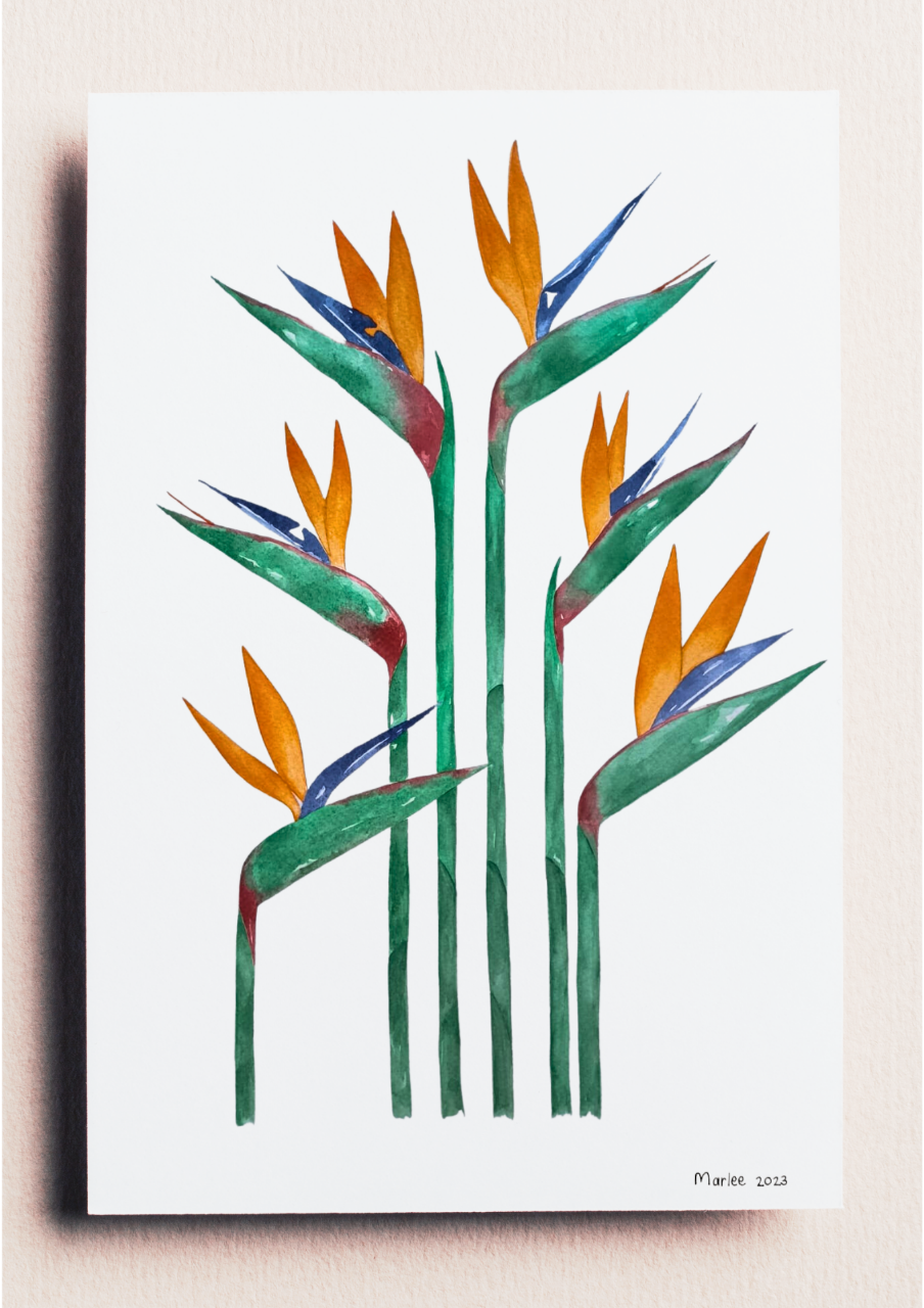 Picture of Birds of Paradise A3 - Watercolour Painting