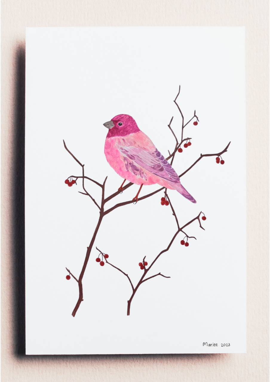 Picture of Blush Bird A3 - Watercolour Painting