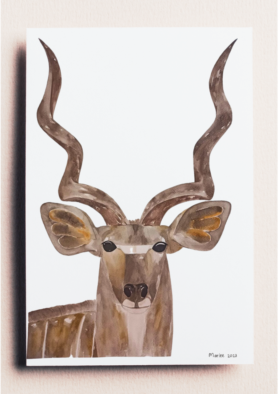 Picture of Kudu A3 - Watercolour Painting