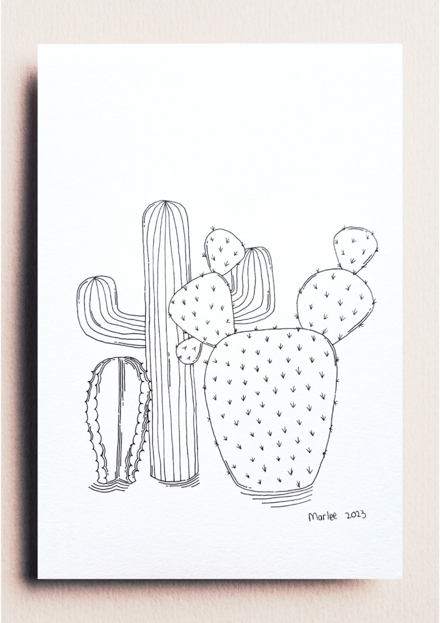 Picture of Cacti A4 - Fineliner Drawing